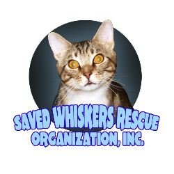 shelter logo