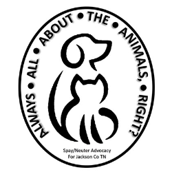shelter logo