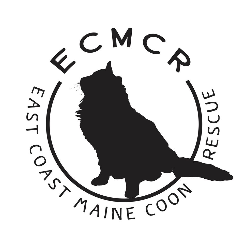 shelter logo
