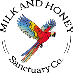 shelter logo