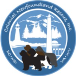 shelter logo