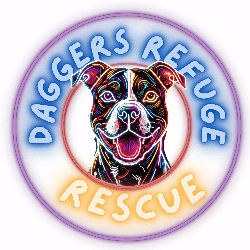 shelter logo