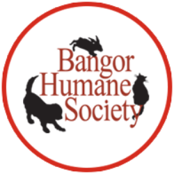 shelter logo
