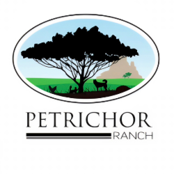shelter logo