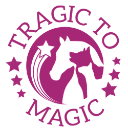 Tragic To Magic