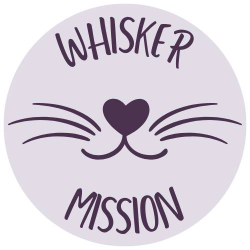 shelter logo