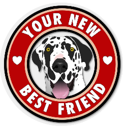 shelter logo