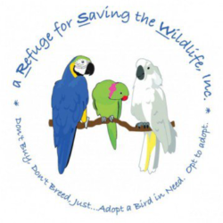 shelter logo