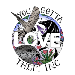 shelter logo