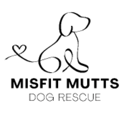 shelter logo