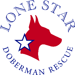 shelter logo