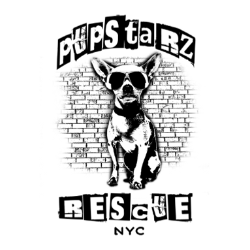 shelter logo