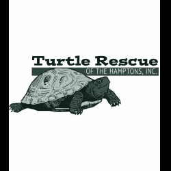 shelter logo