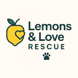 shelter logo