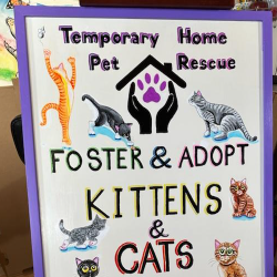 Temporary Home Pet Rescue
