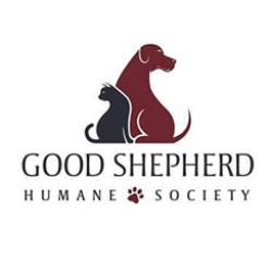 shelter logo