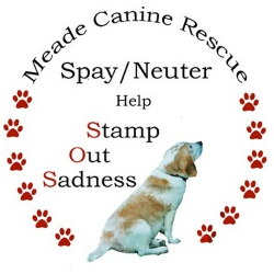 shelter logo