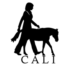 shelter logo