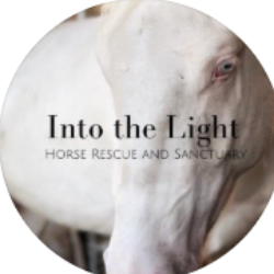 Into The Light Horse Rescue & Sanctuary Inc