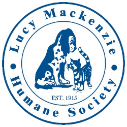 shelter logo