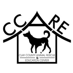 shelter logo