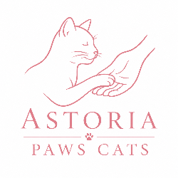 shelter logo