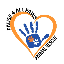 shelter logo