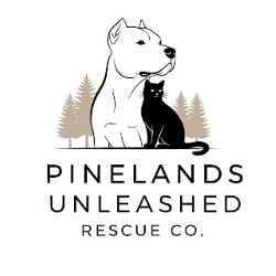 shelter logo