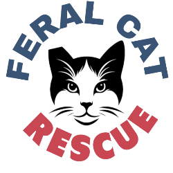 Kokua Cats