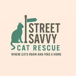 shelter logo