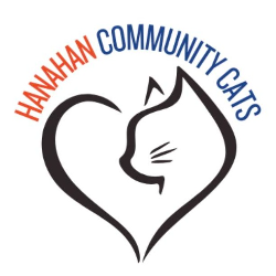 shelter logo