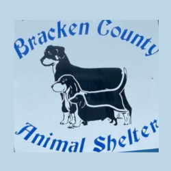shelter logo