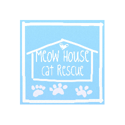 Meow House Cat Rescue