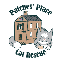 shelter logo