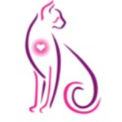 shelter logo