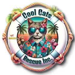 shelter logo