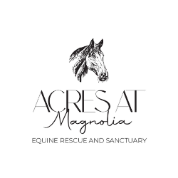 shelter logo