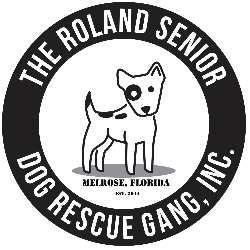 shelter logo