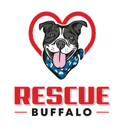 shelter logo