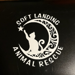 shelter logo
