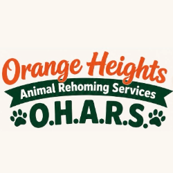 shelter logo