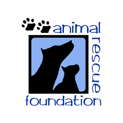 shelter logo