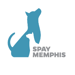 Animal Protection Association