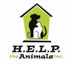 shelter logo