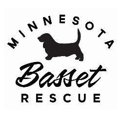 shelter logo