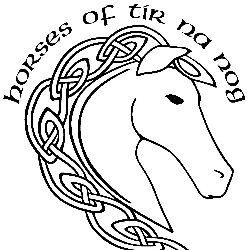 shelter logo