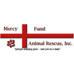shelter logo