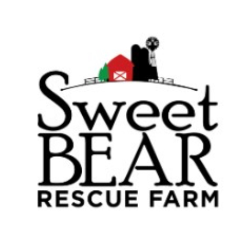shelter logo