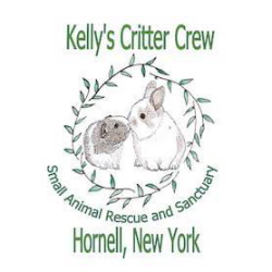 shelter logo