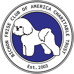 shelter logo